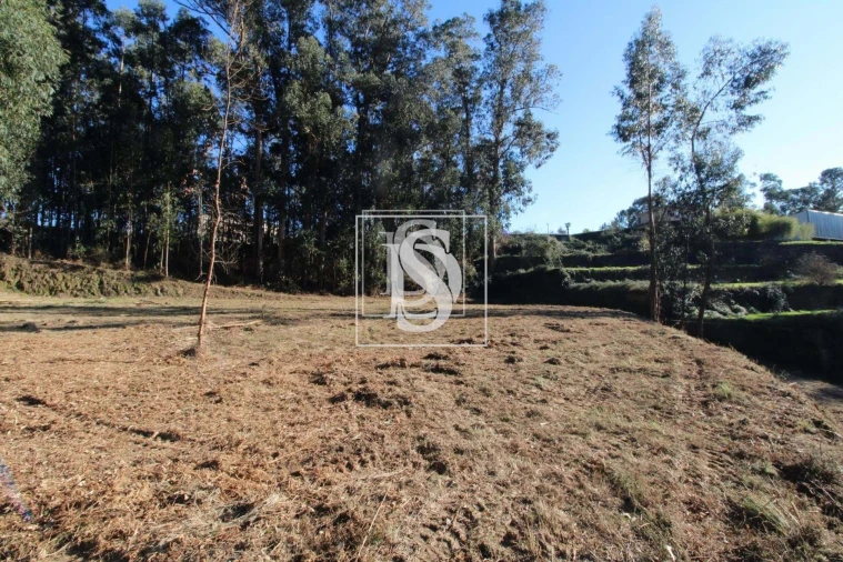 Terreno para Venda em Telões Foto 6
