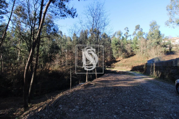 Terreno para Venda em Telões Foto 18