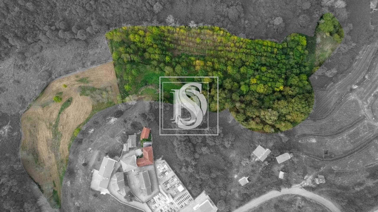 Apartamento T3 para Venda em Bustelo, Carneiro e Carvalho de Rei Foto 7