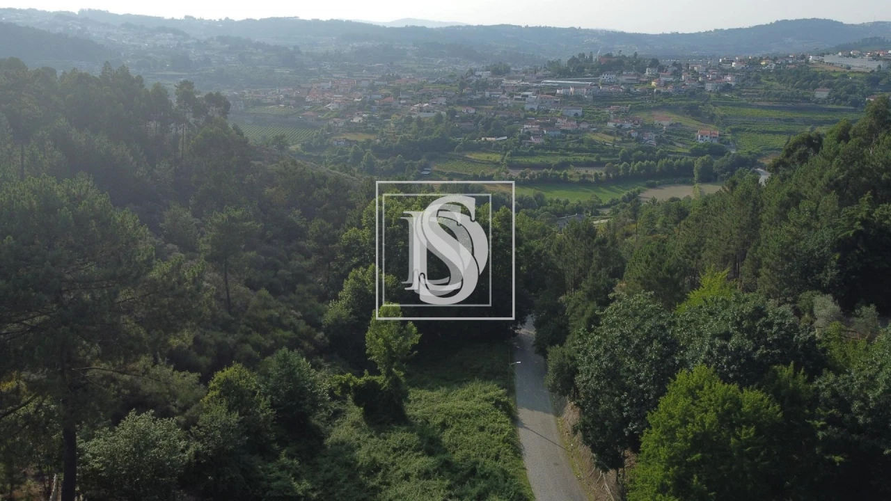 Terreno para Venda em Real, Ataíde e Oliveira Foto 5