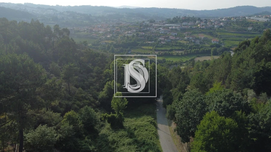 Terreno para Venda em Real, Ataíde e Oliveira Foto 5