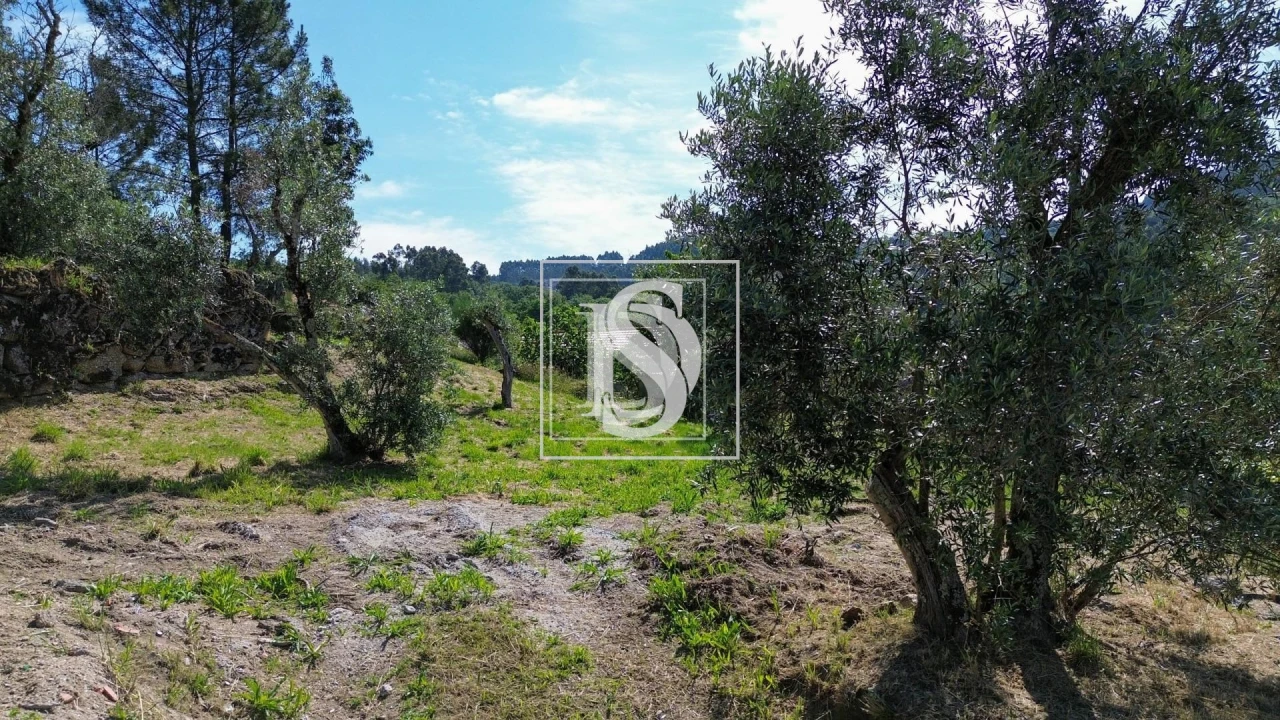 Terreno para Venda em Gouveia (São Simão) Foto 16