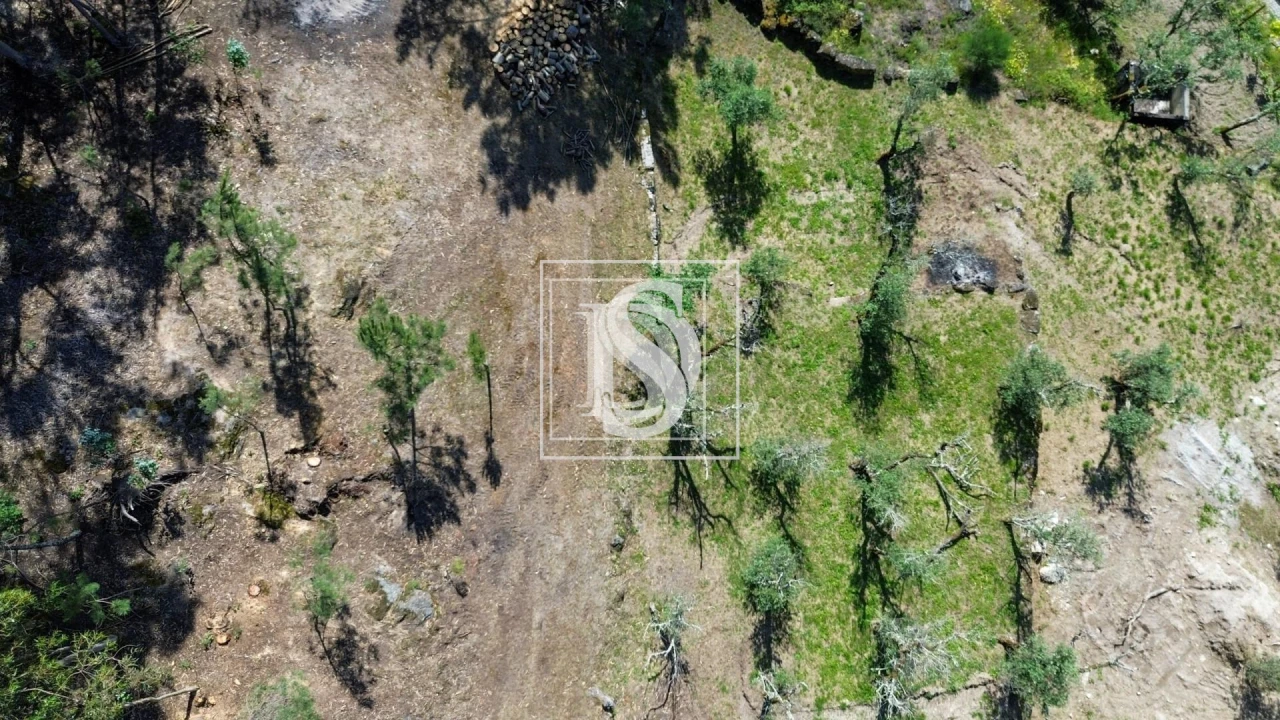 Terreno para Venda em Gouveia (São Simão) Foto 13