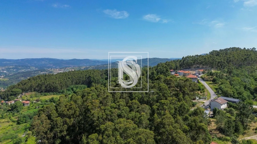 Terreno para Venda em Gouveia (São Simão) Foto 8