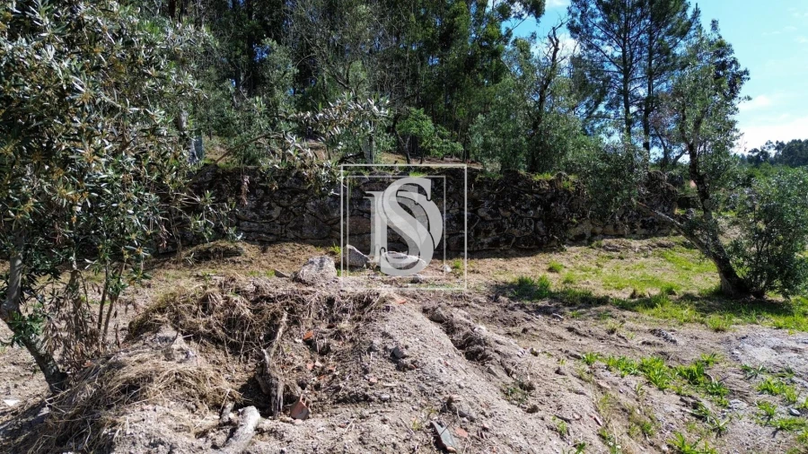 Terreno para Venda em Gouveia (São Simão) Foto 15