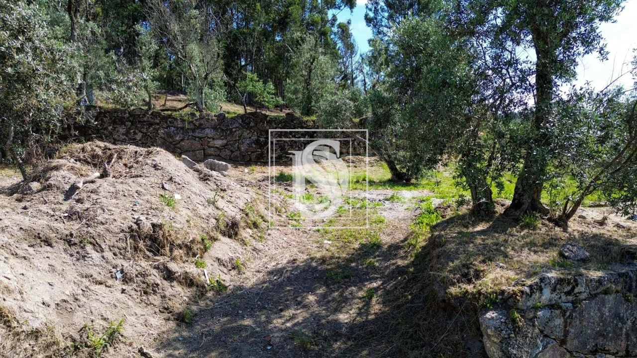 Terreno para Venda em Gouveia (São Simão) Foto 19