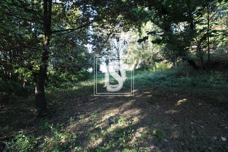 Terreno para Venda em Rebordelo Foto 2