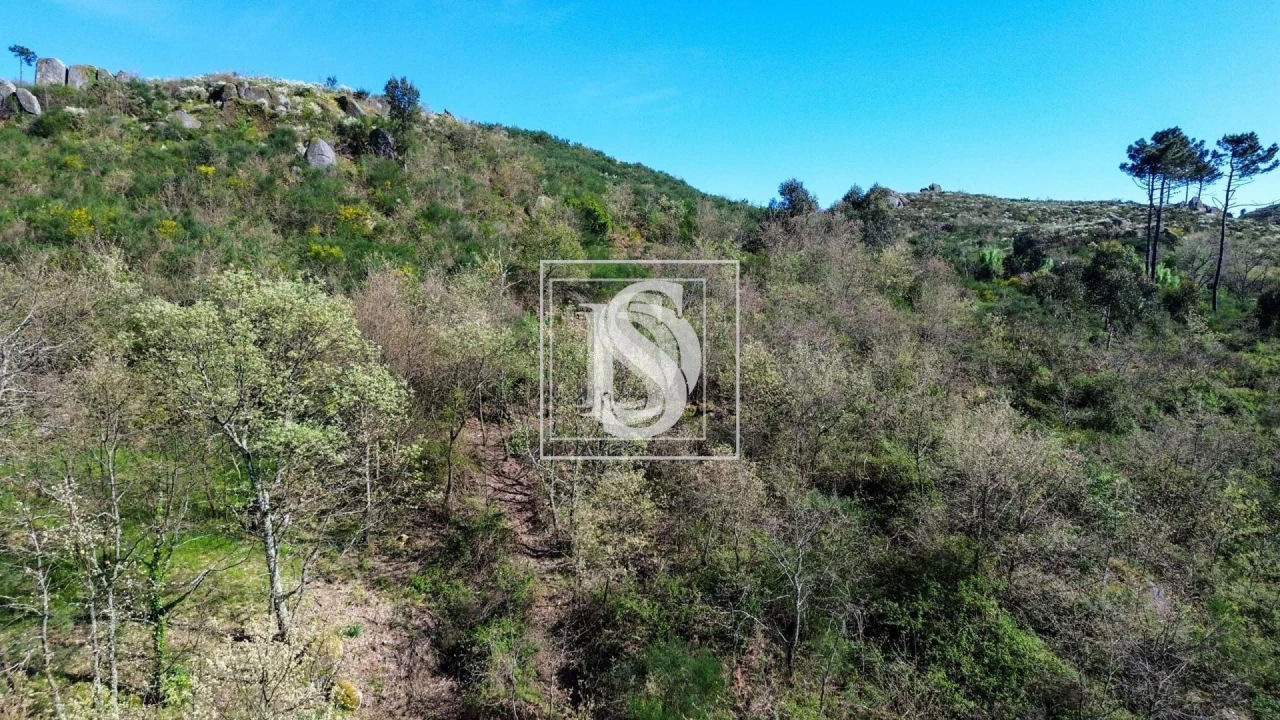 Moradia para Venda em Gestaço Foto 13