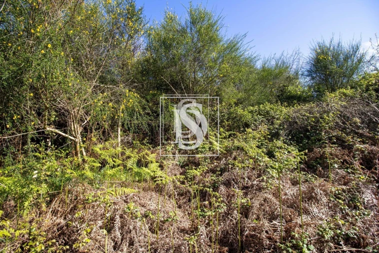 Moradia para Venda em Gestaço Foto 19