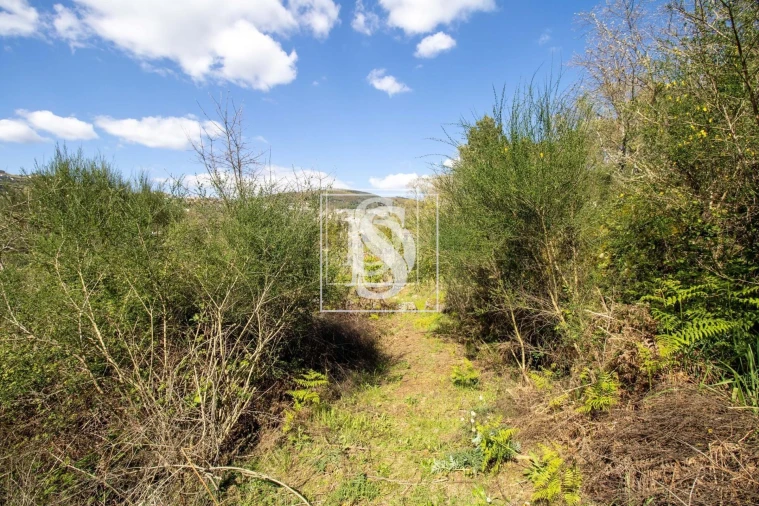 Moradia para Venda em Gestaço Foto 17