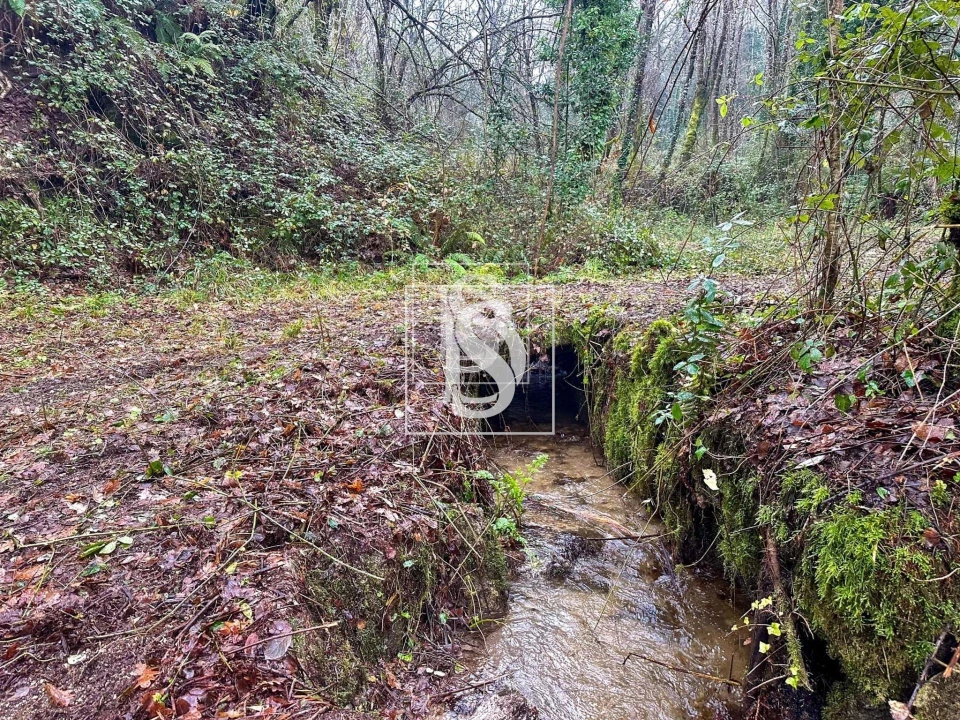 Moradia para Venda em Bustelo, Carneiro e Carvalho de Rei Foto 10