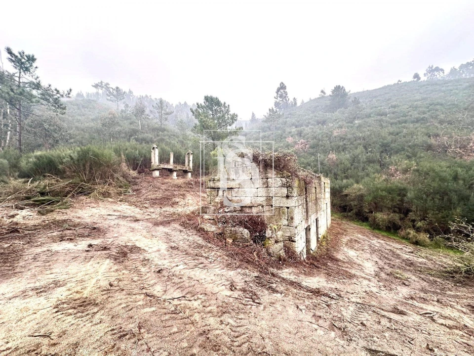 Moradia para Venda em Bustelo, Carneiro e Carvalho de Rei Foto 2