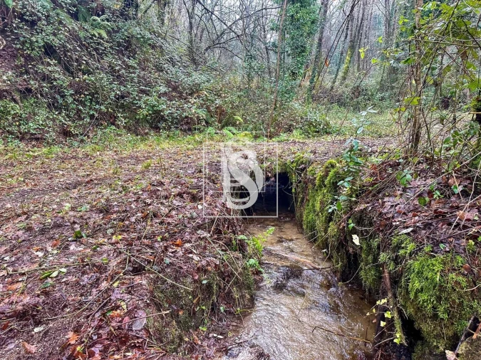 Moradia para Venda em Bustelo, Carneiro e Carvalho de Rei Foto 10