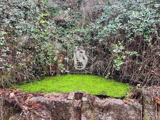 Moradia para Venda em Bustelo, Carneiro e Carvalho de Rei Foto 8