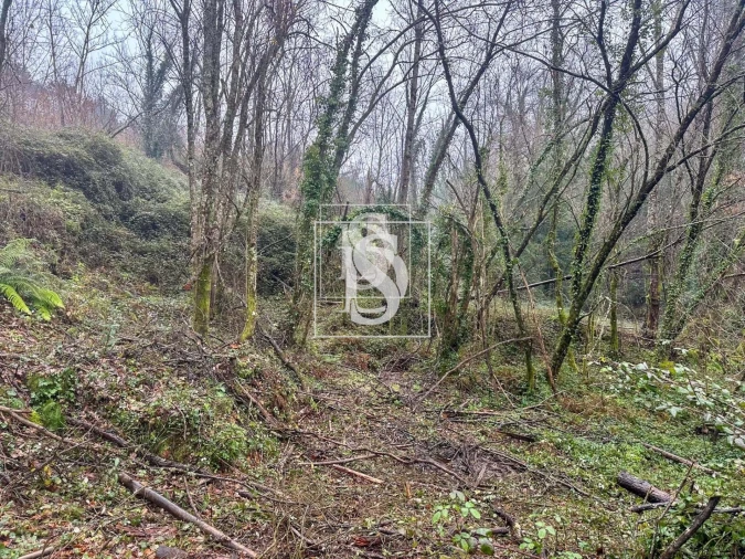 Moradia para Venda em Bustelo, Carneiro e Carvalho de Rei Foto 15