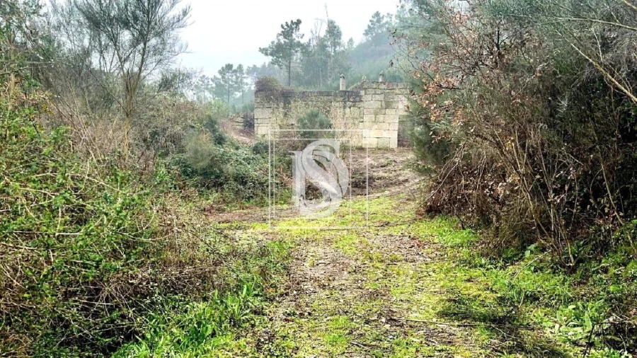 Moradia para Venda em Bustelo, Carneiro e Carvalho de Rei Foto 4