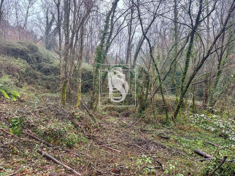 Moradia para Venda em Bustelo, Carneiro e Carvalho de Rei Foto 15