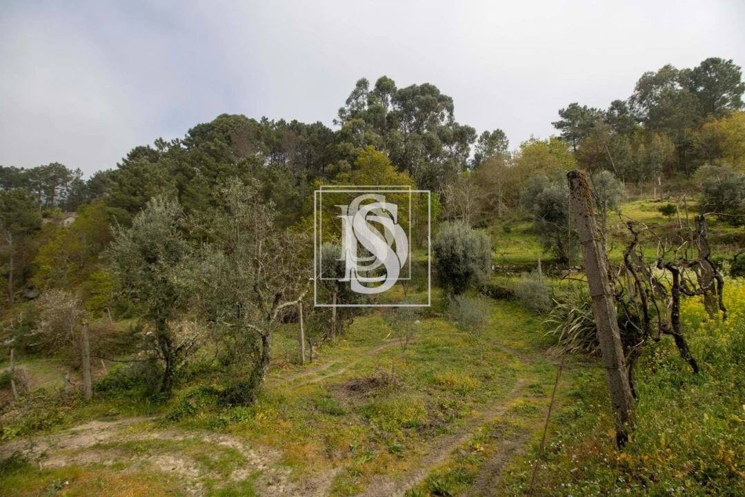 Apartamento para Venda em Bustelo, Carneiro e Carvalho de Rei Foto 26