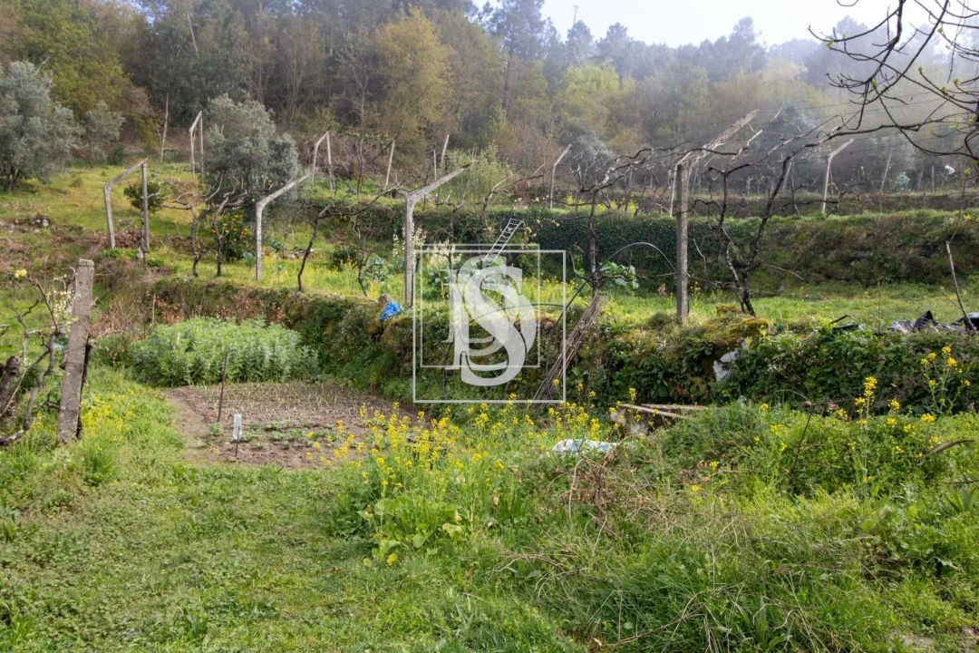 Apartamento para Venda em Bustelo, Carneiro e Carvalho de Rei Foto 14