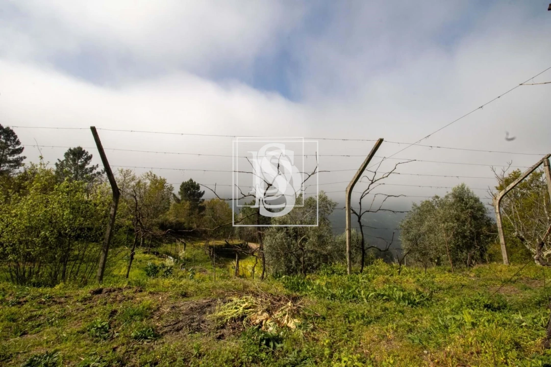 Apartamento para Venda em Bustelo, Carneiro e Carvalho de Rei Foto 35
