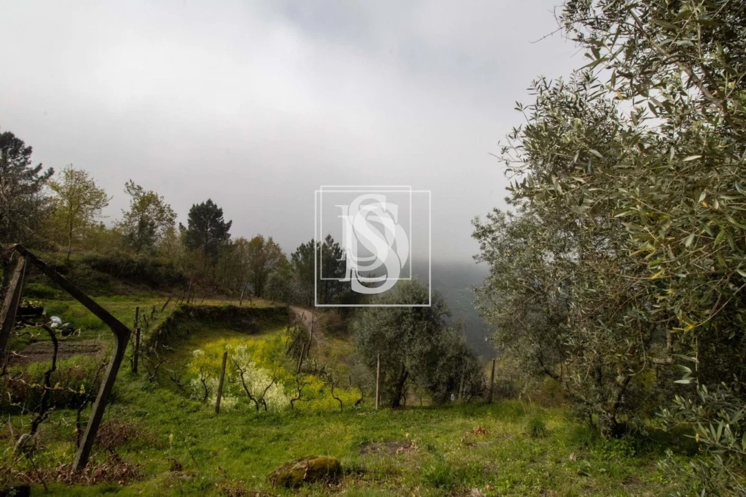 Apartamento para Venda em Bustelo, Carneiro e Carvalho de Rei Foto 31