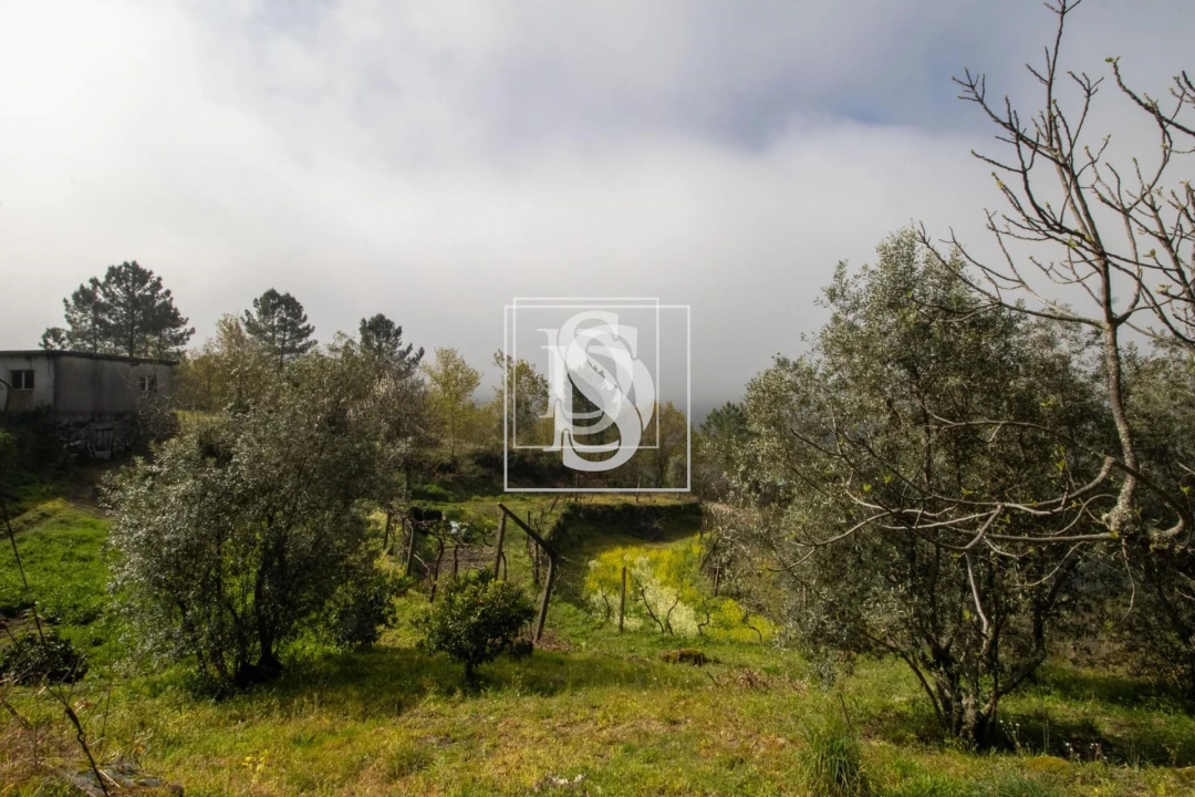 Apartamento para Venda em Bustelo, Carneiro e Carvalho de Rei Foto 32