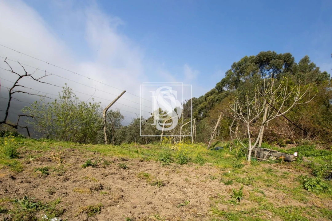 Apartamento para Venda em Bustelo, Carneiro e Carvalho de Rei Foto 39