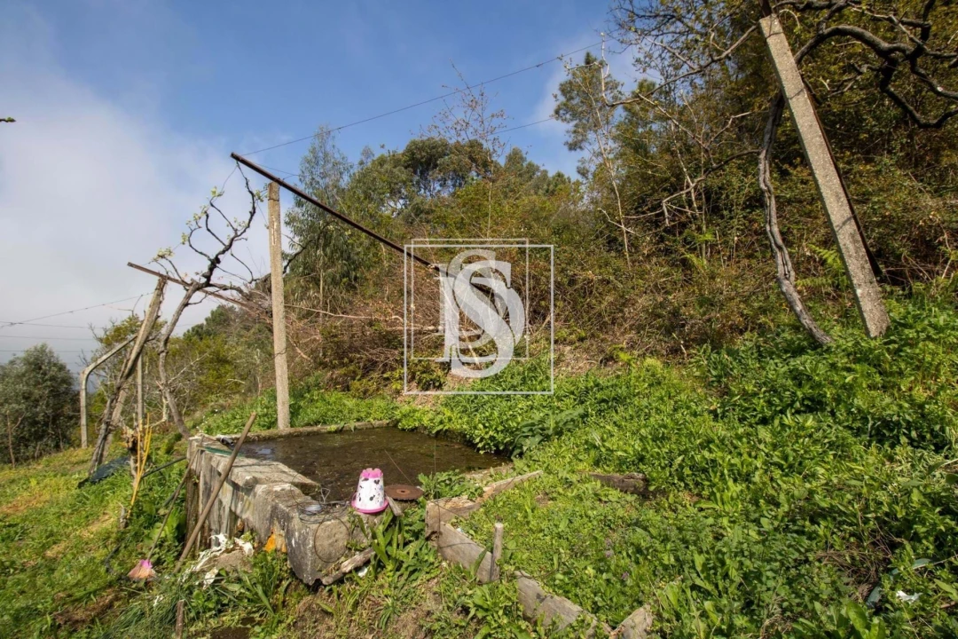 Apartamento para Venda em Bustelo, Carneiro e Carvalho de Rei Foto 38