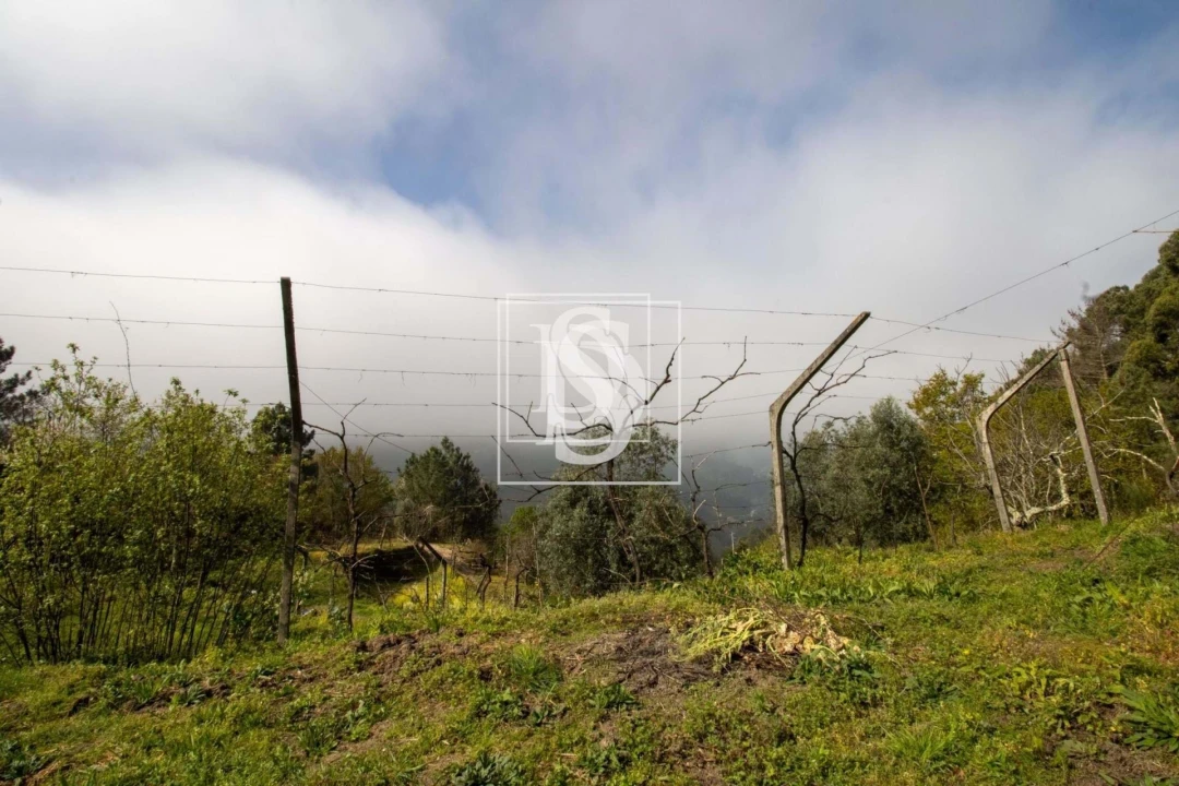 Apartamento para Venda em Bustelo, Carneiro e Carvalho de Rei Foto 36