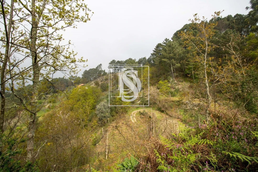 Apartamento para Venda em Bustelo, Carneiro e Carvalho de Rei Foto 21