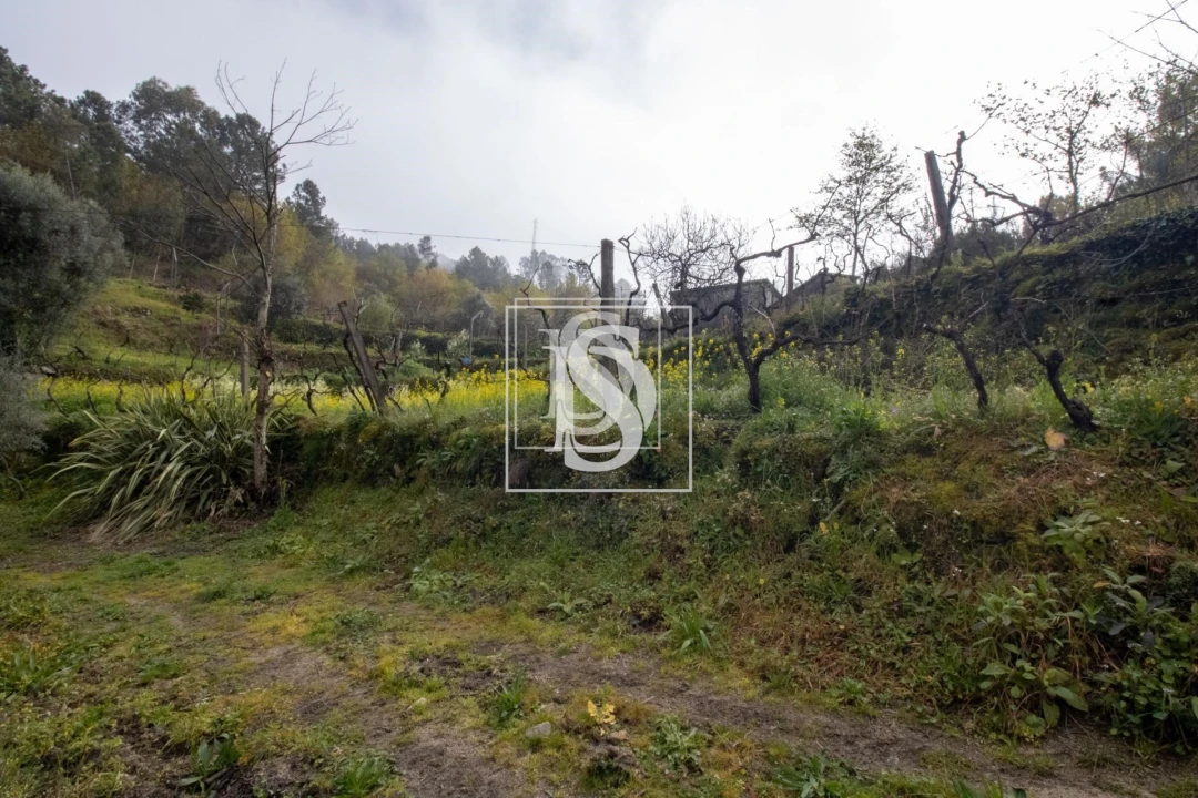 Apartamento para Venda em Bustelo, Carneiro e Carvalho de Rei Foto 25