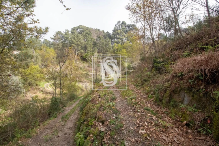 Apartamento para Venda em Bustelo, Carneiro e Carvalho de Rei Foto 20