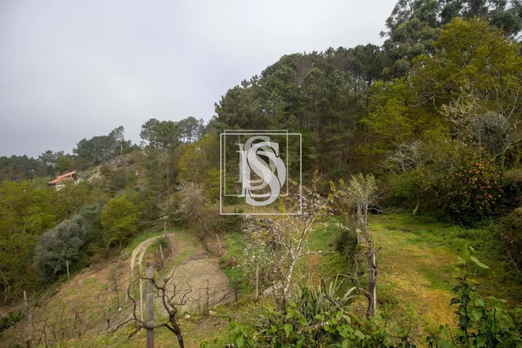 Apartamento para Venda em Bustelo, Carneiro e Carvalho de Rei Foto 23