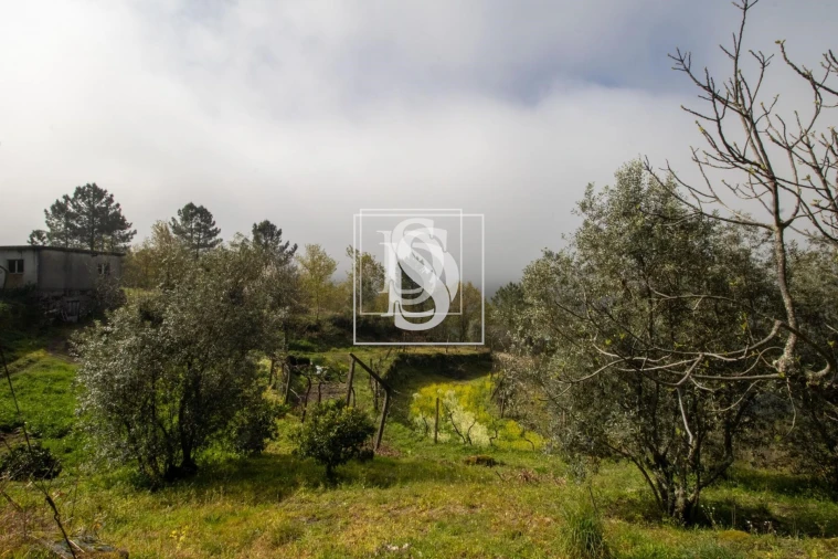 Apartamento para Venda em Bustelo, Carneiro e Carvalho de Rei Foto 32