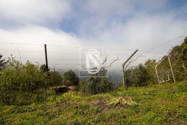 Apartamento para Venda em Bustelo, Carneiro e Carvalho de Rei Foto 36