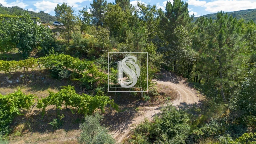 Apartamento para Venda em Bustelo, Carneiro e Carvalho de Rei Foto 50