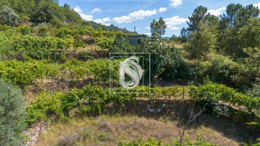 Apartamento para Venda em Bustelo, Carneiro e Carvalho de Rei Foto 52