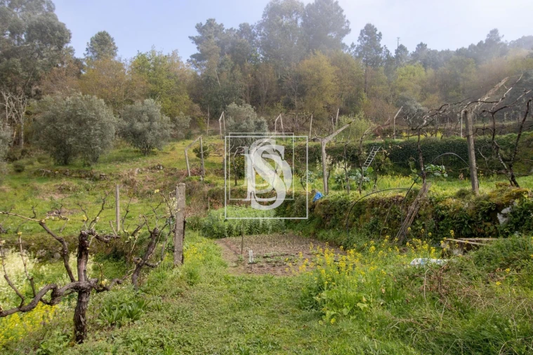 Apartamento para Venda em Bustelo, Carneiro e Carvalho de Rei Foto 15