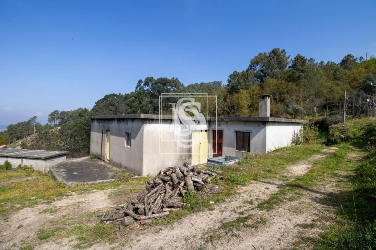 Apartamento para Venda em Bustelo, Carneiro e Carvalho de Rei Foto 47