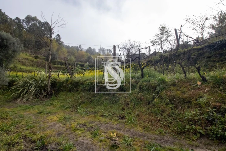 Apartamento para Venda em Bustelo, Carneiro e Carvalho de Rei Foto 25