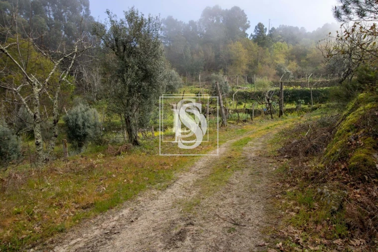 Apartamento para Venda em Bustelo, Carneiro e Carvalho de Rei Foto 16