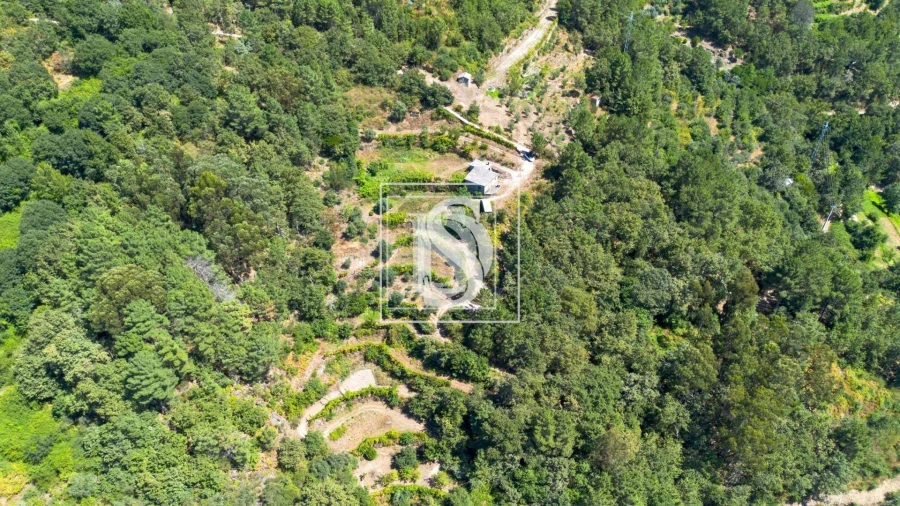 Apartamento para Venda em Bustelo, Carneiro e Carvalho de Rei Foto 2