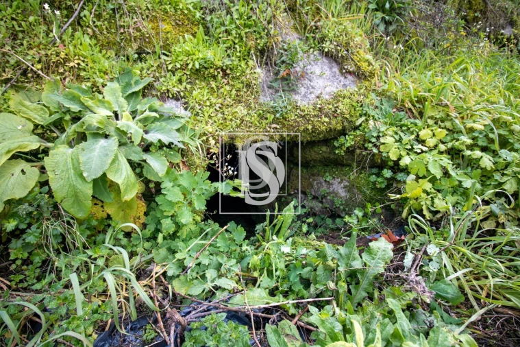 Apartamento para Venda em Bustelo, Carneiro e Carvalho de Rei Foto 30