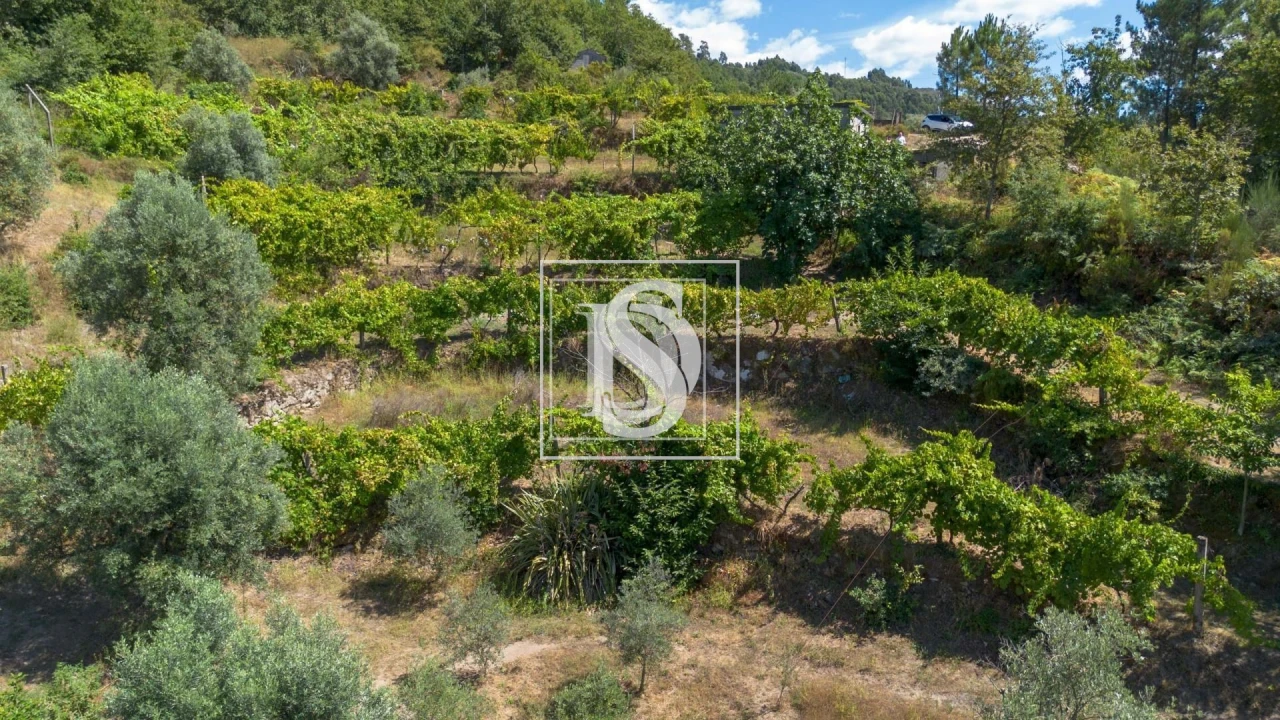 Apartamento para Venda em Bustelo, Carneiro e Carvalho de Rei Foto 51