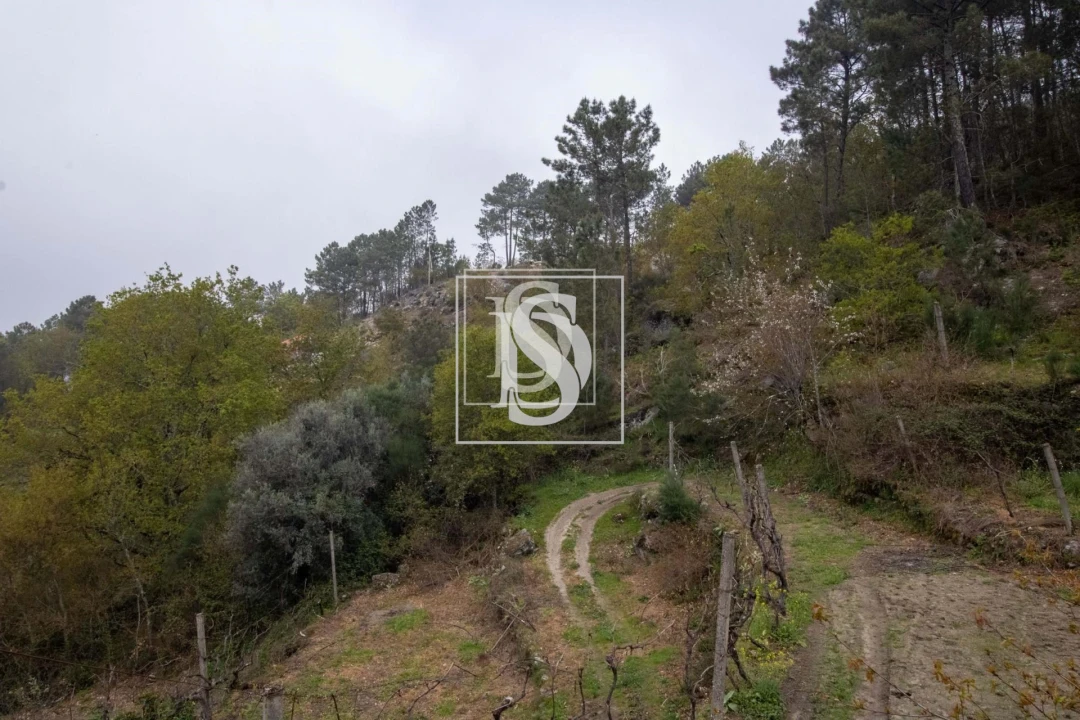 Apartamento para Venda em Bustelo, Carneiro e Carvalho de Rei Foto 18