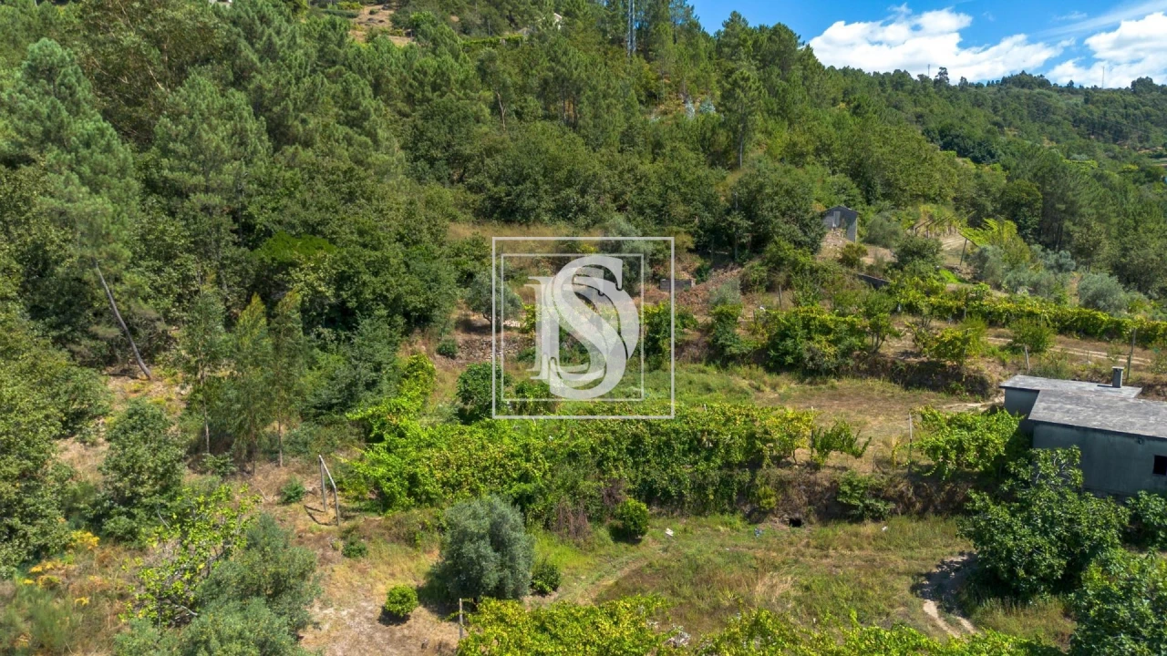 Apartamento para Venda em Bustelo, Carneiro e Carvalho de Rei Foto 49