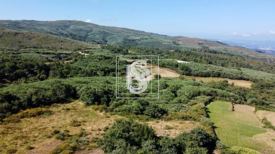 Moradia T1 para Venda em Gouveia (São Simão) Foto 41