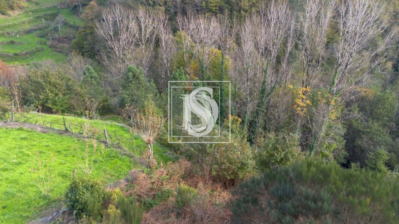 Terreno para Venda em Ansiães Foto 9