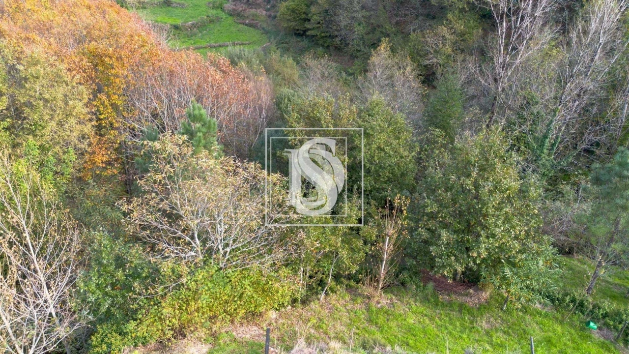 Terreno para Venda em Ansiães Foto 8