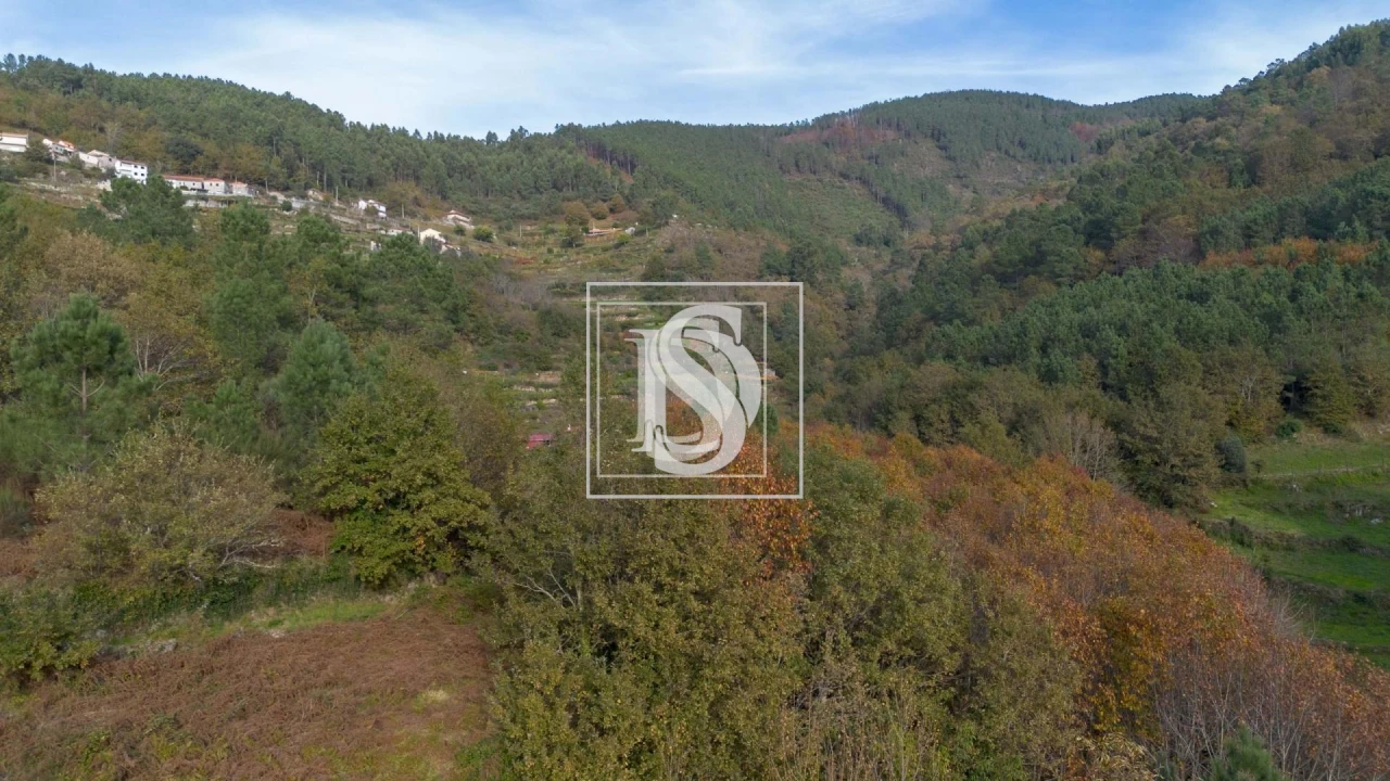 Terreno para Venda em Ansiães Foto 10